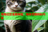 海角社区全新体验，畅享无限精彩内容