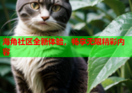 海角社区全新体验，畅享无限精彩内容