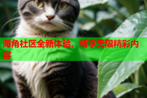 海角社区全新体验，畅享无限精彩内容