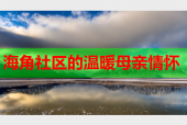 海角社区的温暖母亲情怀