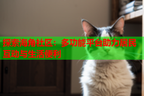 探索海角社区：多功能平台助力居民互动与生活便利
