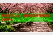 海角社区app：连接生活与朋友的社交新平台