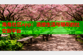 海角社区app：连接生活与朋友的社交新平台