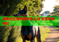 海角社区福利新账号上线 享受专属特权