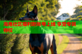 海角社区福利新账号上线 享受专属特权