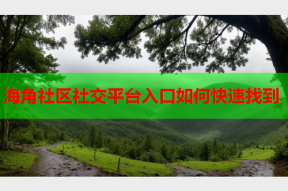 海角社区社交平台入口如何快速找到