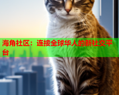 海角社区：连接全球华人的新社交平台  第1张