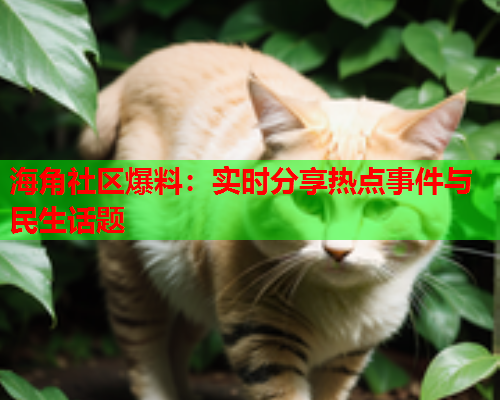 海角社区爆料：实时分享热点事件与民生话题  第1张